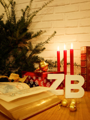 C'est Noël à la librairie Zooka's Books ! C'est Noël à la librairie Zooka's Books !