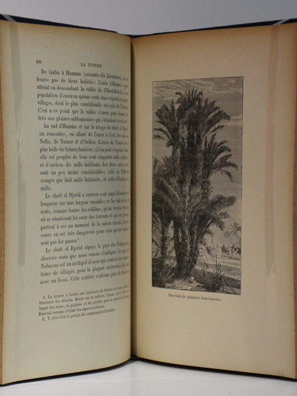La Tunisie, son passé, son avenir. Antichan. Delagrave. 1887. Pages intérieures.
