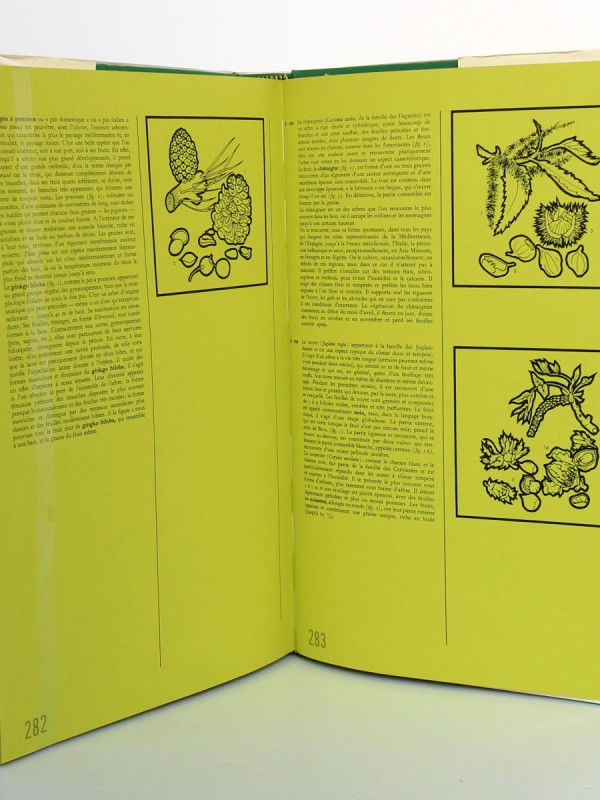 Atlas des fruits de la terre, Bianchini, Corbetta. Fernand Nathan, 1974. Pages intérieures 2.