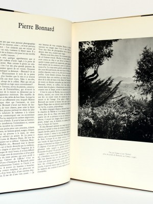 Les Artistes de ma vie, Brassaï. Denoël, 1982. Pages intérieures 1.