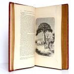 Aux Sources du Nil Journal de voyage du Capitaine John Hanning Speke. Librairie de L. Hachette et Cie 1865. Pages intérieures 1.