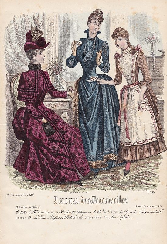 Journal des Demoiselles 1er décembre 1888. 4705.
