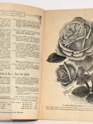 Catalogue n°80 de Soupert & Notting, rosiéristes à Luxembourg. Catalogue des rosiers nouveaux de 1886. Pages intérieures.