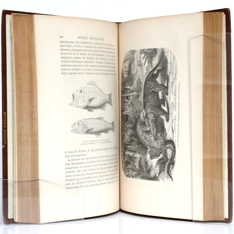 La Terre avant le déluge, Louis FIGUIER. Hachette, 1864. Pages intérieures.