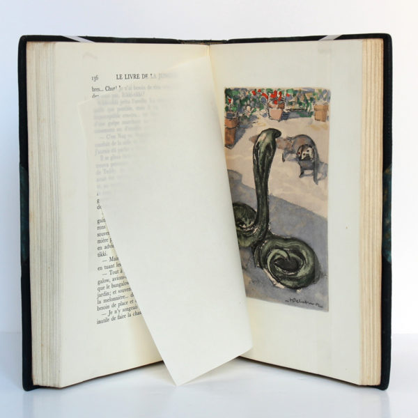Le Livre de la jungle, Rudyard KIPLING. Illustrations H. DELUERMOZ. Librairie Delagrave, 1936. Pages intérieures.