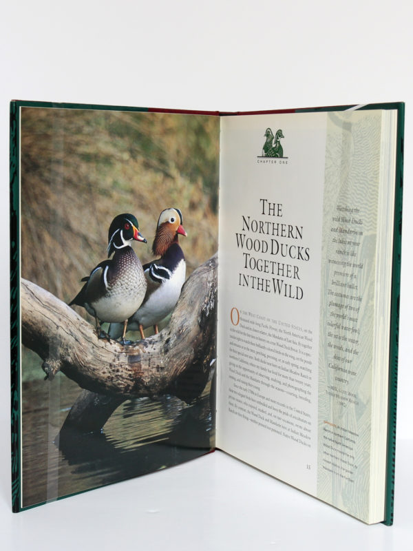 The Wood Duck and the Mandarin. The Northern Wood Ducks, Lawton L. Shurtleff, Christopher Savage. University of California Press, 1996. Pages intérieures.