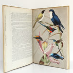 Vie et Mœurs des oiseaux, Paul Barruel. Horizons de France, 1961. Pages intérieures.